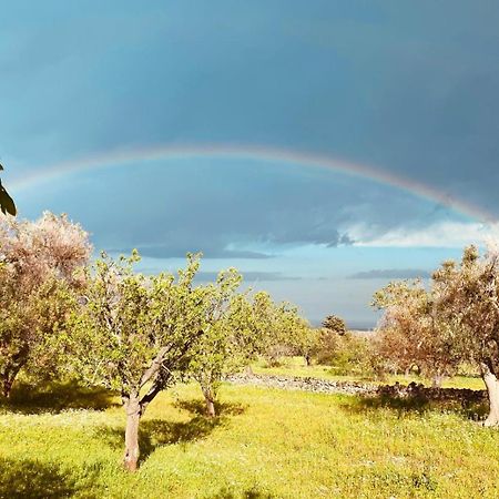 Vila La Perla Di Torre Guaceto Serranova Exteriér fotografie