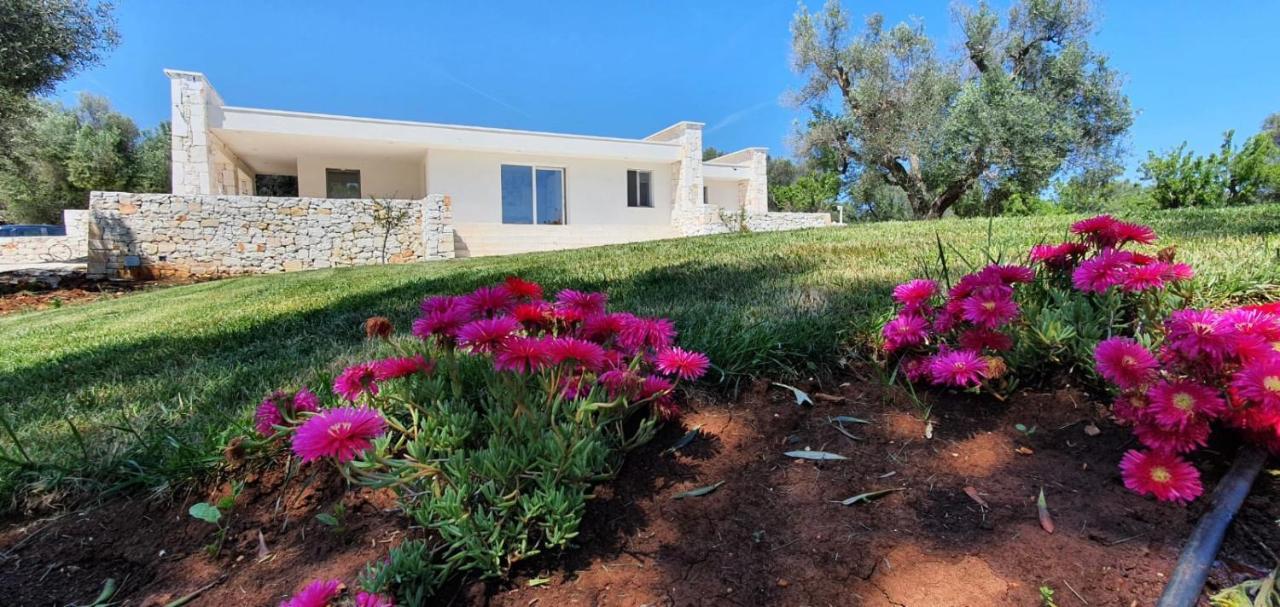 Vila La Perla Di Torre Guaceto Serranova Exteriér fotografie