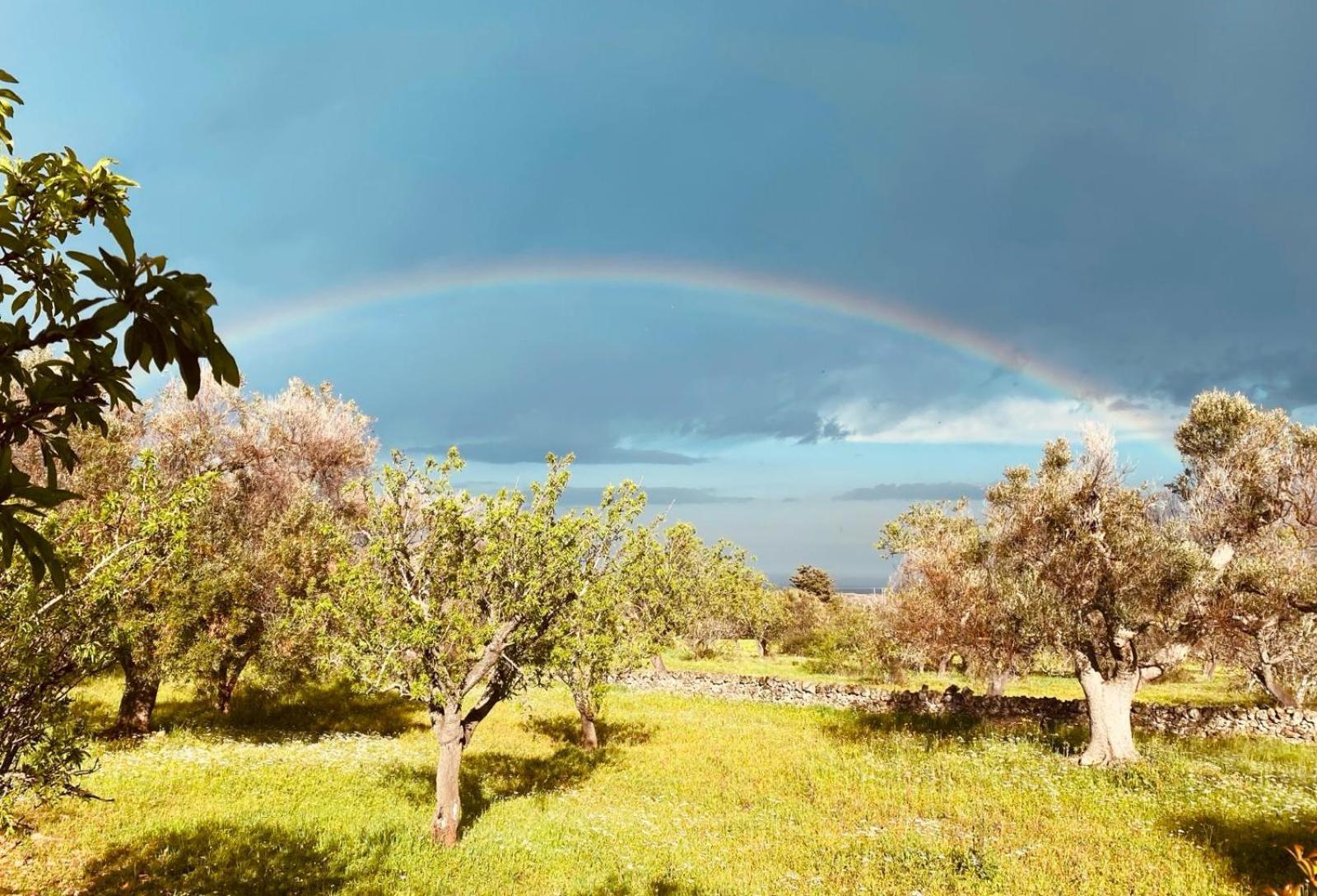 Vila La Perla Di Torre Guaceto Serranova Exteriér fotografie